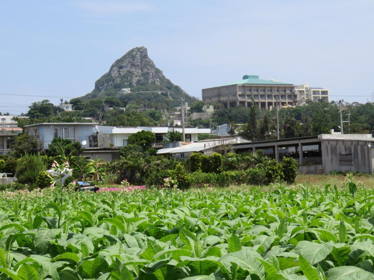 Okinawa Freedom Villa Nakidzsin Kültér fotó