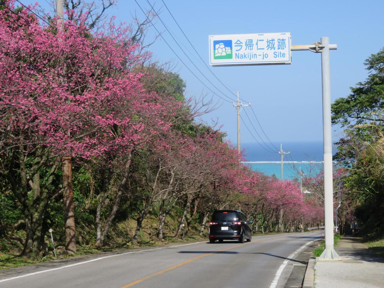 Okinawa Freedom Villa Nakidzsin Kültér fotó