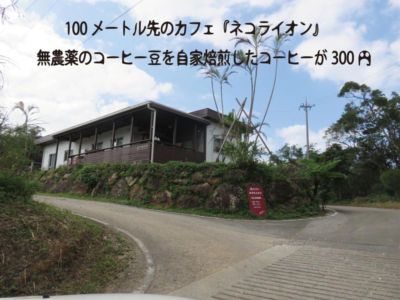 Okinawa Freedom Villa Nakidzsin Kültér fotó