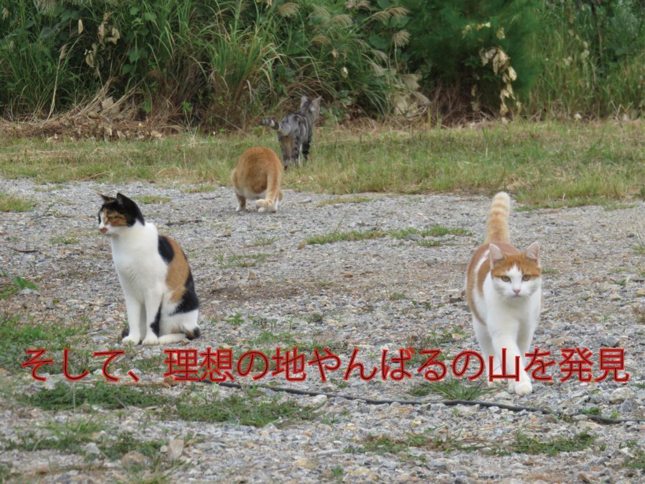 Okinawa Freedom Villa Nakidzsin Kültér fotó